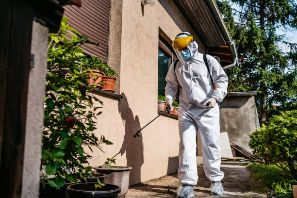 Best Mosquito Control Services  in Bar Nunn, WY