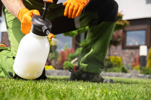 Best Pest Removal Services  in Bar Nunn, WY