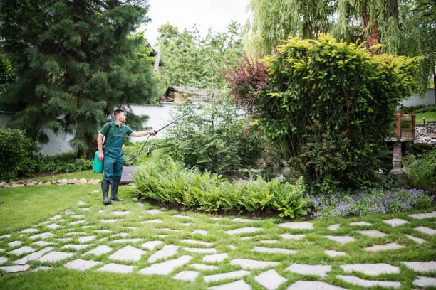 Best Pest Control for Homes  in Bar Nunn, WY