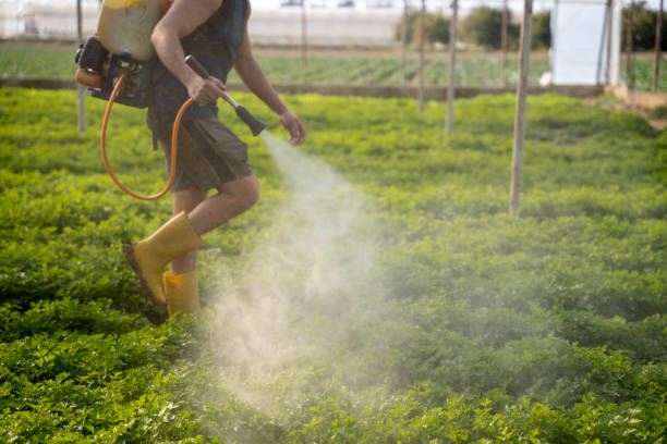 Best Best Pest Control Companies  in Bar Nunn, WY
