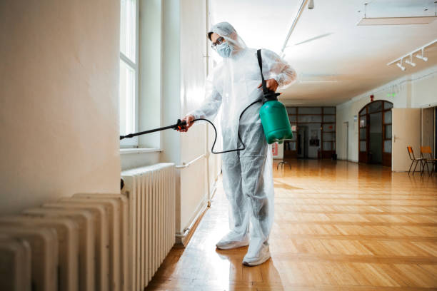 Best Flea Control Services  in Bar Nunn, WY