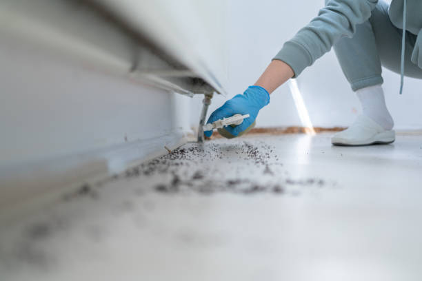 Best Rat Extermination Near Me  in Bar Nunn, WY