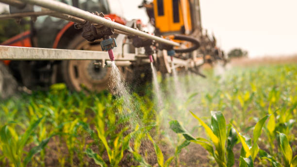 Best Pest Prevention Services  in Bar Nunn, WY