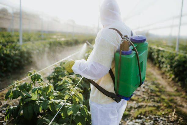 Best Mosquito Control Services  in Bar Nunn, WY